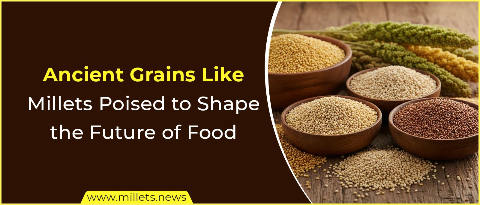Ancient Grains Like Millets Poised to Shape the Future of Food