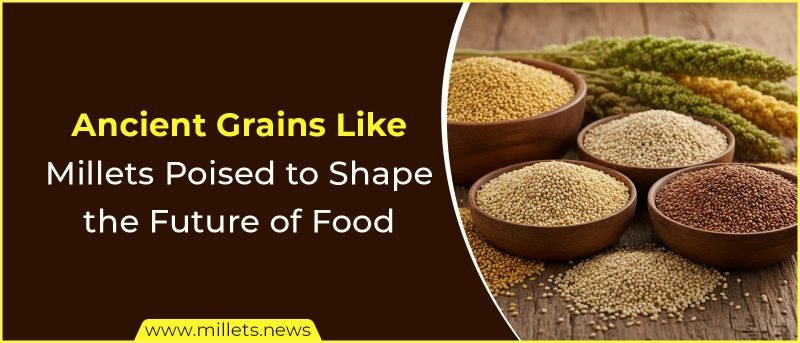 Ancient Grains Like Millets Poised to Shape the Future of Food