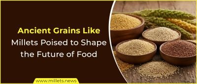 Ancient Grains Like Millets Poised to Shape the Future of Food