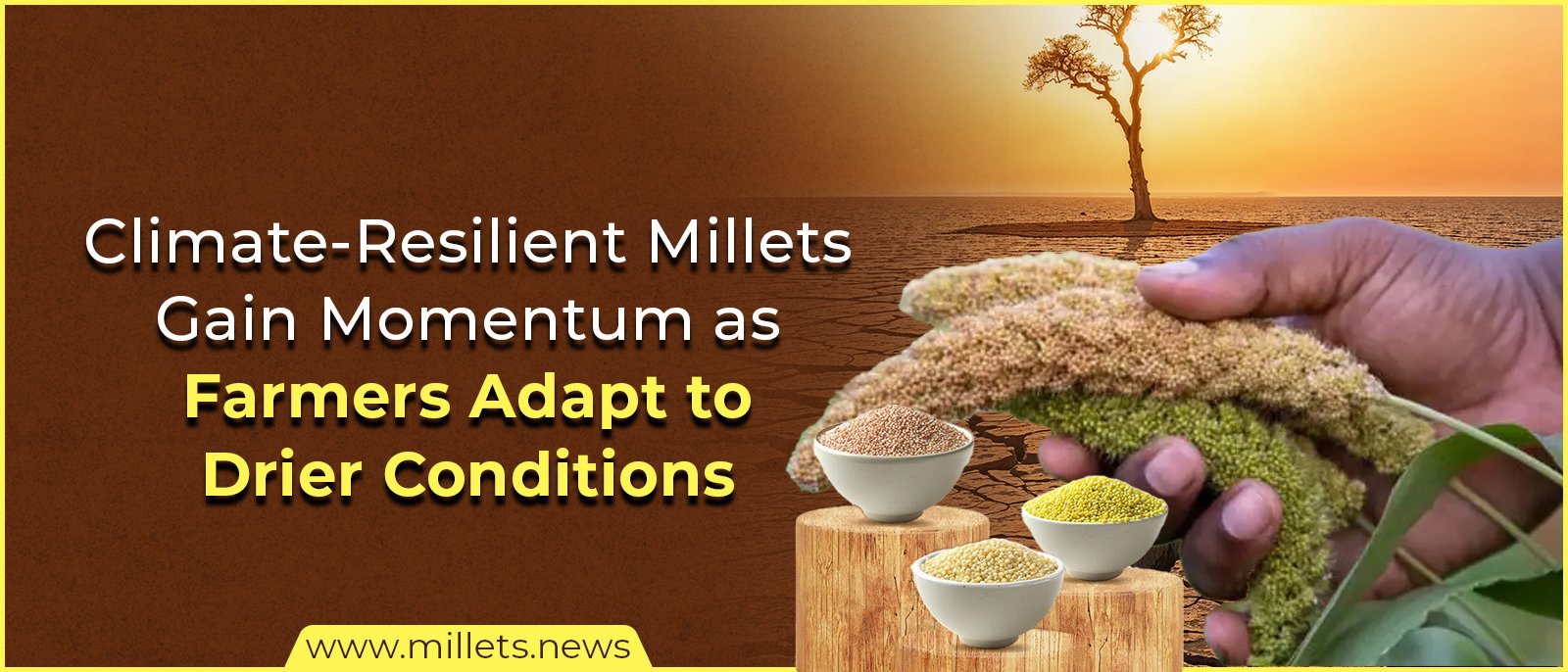 Climate-Resilient Millets Gain Momentum as Farmers Adapt to Drier Conditions