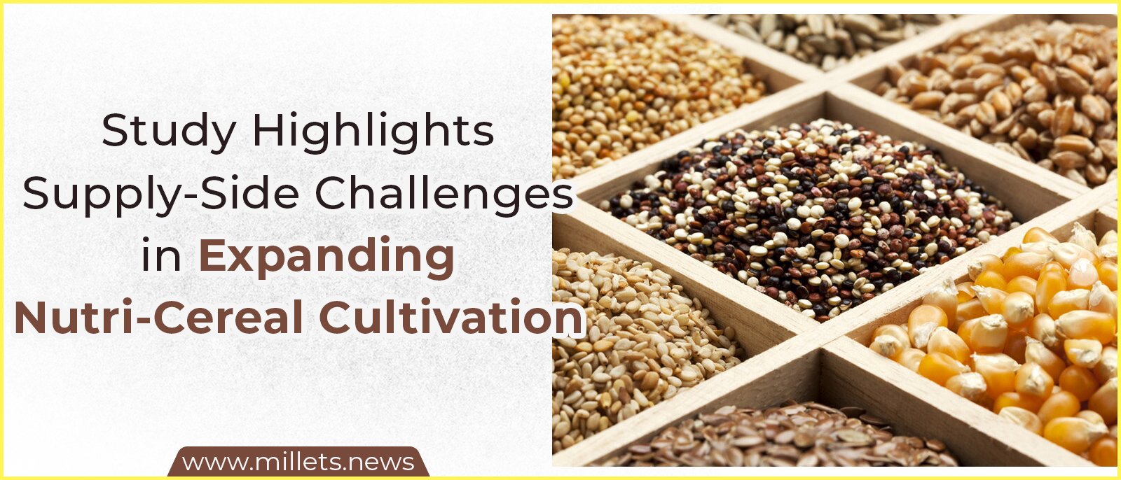 Study Highlights Supply-Side Challenges in Expanding Nutri-Cereal Cultivation