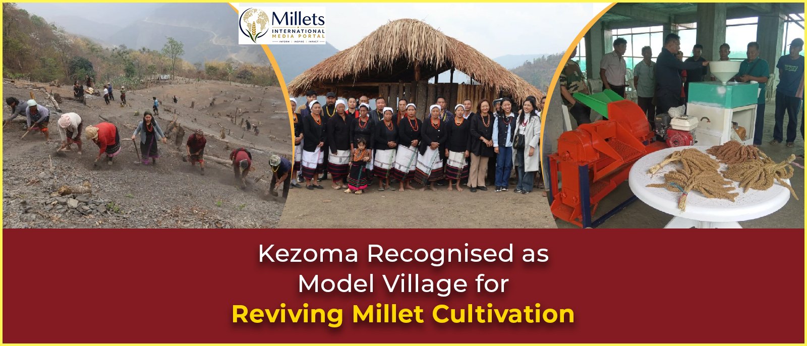 Kezoma Recognised as Model Village for Reviving Millet Cultivation