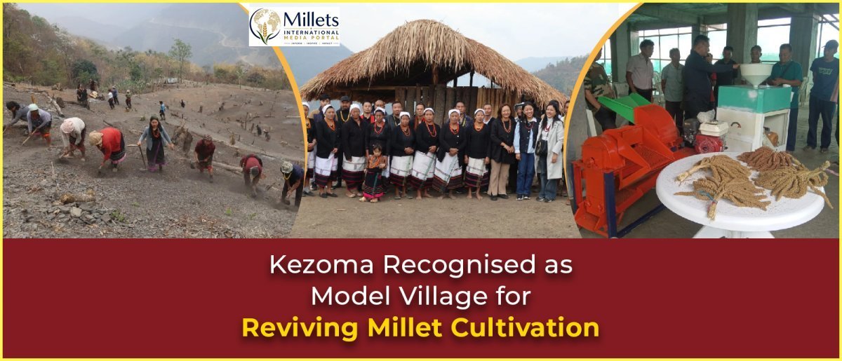 Kezoma Recognised as Model Village for Reviving Millet Cultivation