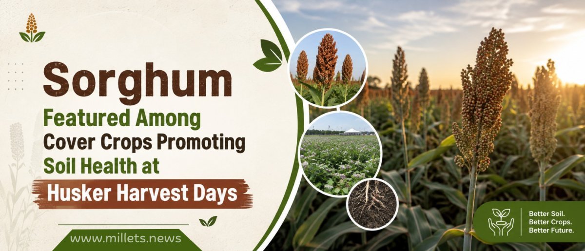 Sorghum Featured Among Cover Crops Promoting Soil Health at Husker Harvest Days