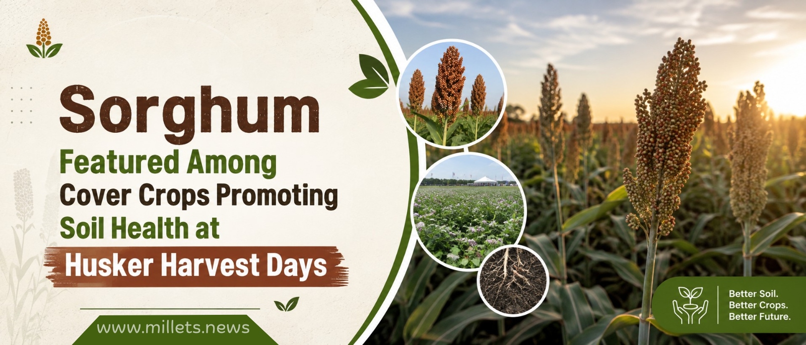 Sorghum Featured Among Cover Crops Promoting Soil Health at Husker Harvest Days