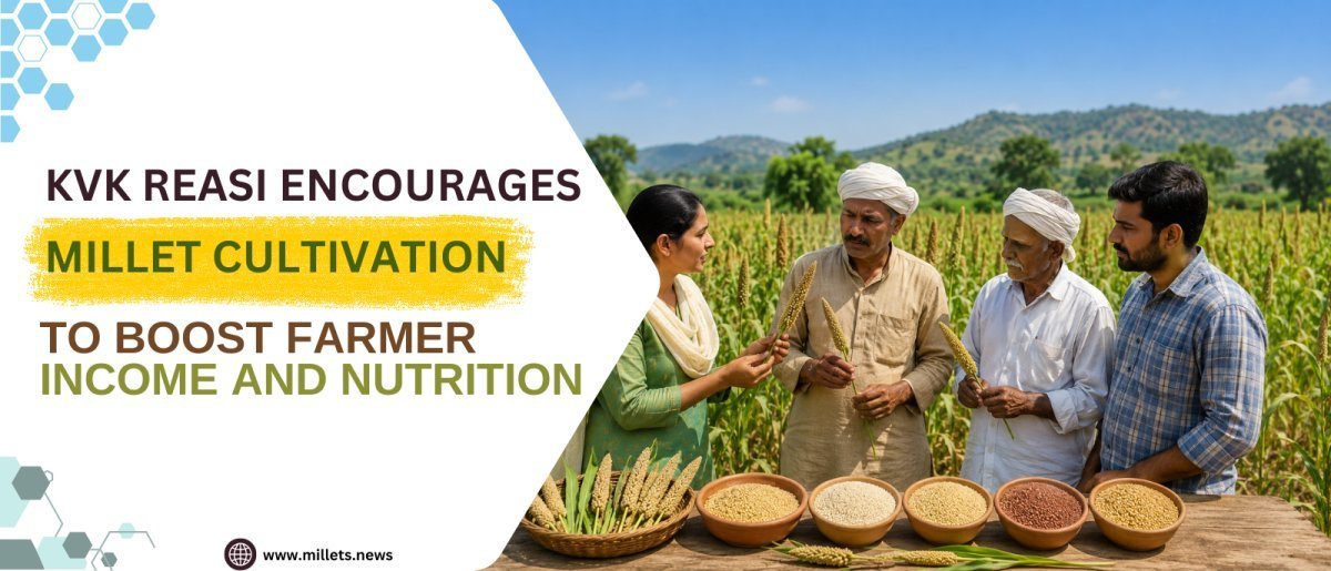 KVK Reasi Encourages Millet Cultivation to Boost Farmer Income and Nutrition