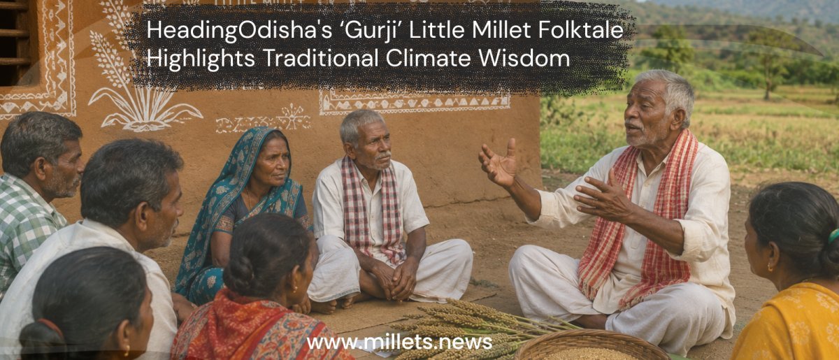 Odisha's ‘Gurji’ Little Millet Folktale Highlights Traditional Climate Wisdom
