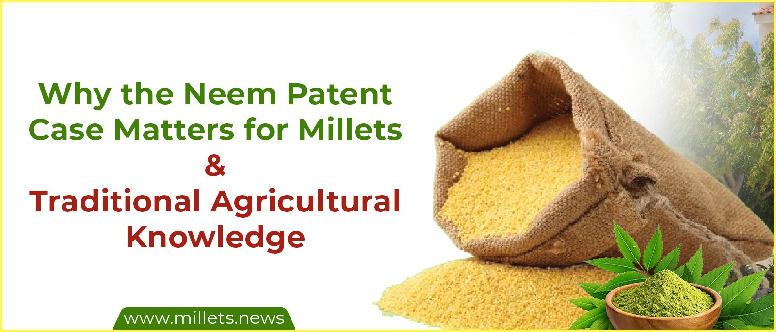 Why the Neem Patent Case Matters for Millets and Traditional Agricultural Knowledge