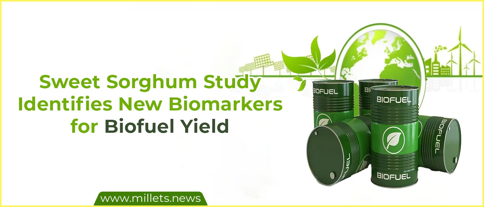 Sweet Sorghum Study Identifies New Biomarkers for Biofuel Yield