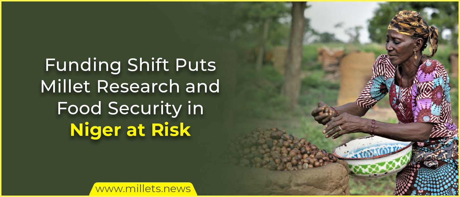 Funding Shift Puts Millet Research and Food Security in Niger at Risk