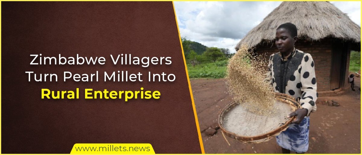 Zimbabwe Villagers Turn Pearl Millet Into Rural Enterprise