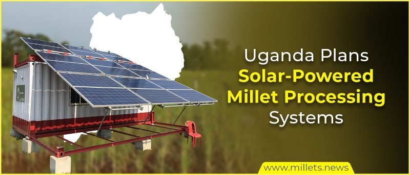 Uganda Plans Solar-Powered Millet Processing Systems