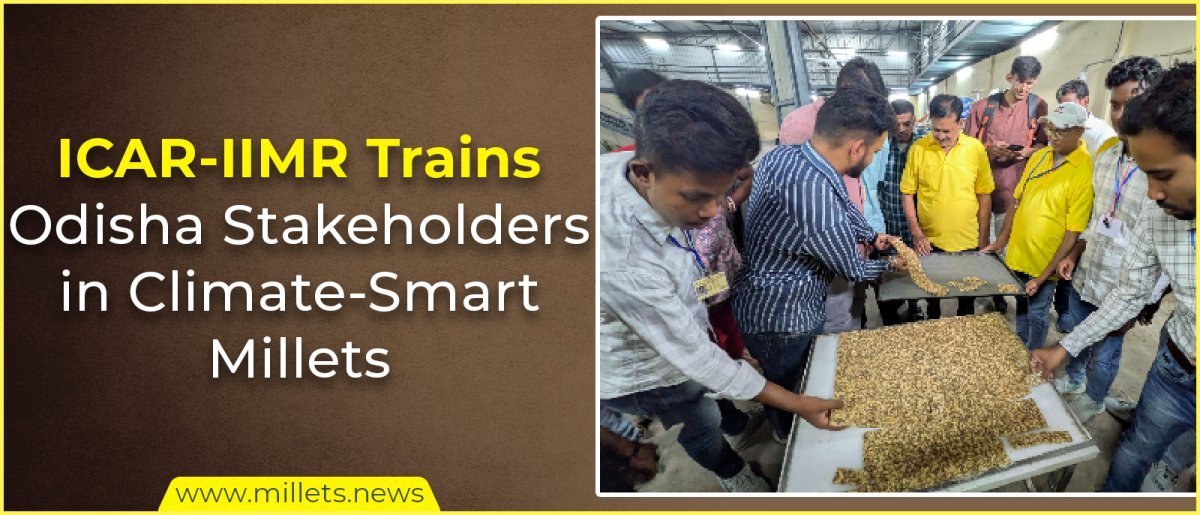 ICAR-IIMR Trains Odisha Stakeholders in Climate-Smart Millets