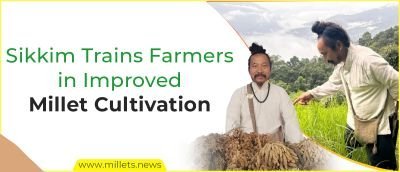 Sikkim Trains Farmers in Improved Millet Cultivation