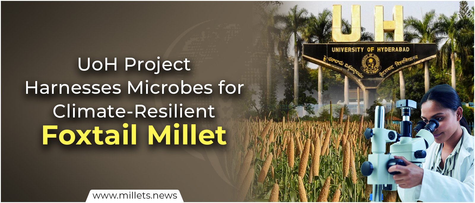 UoH Project Harnesses Microbes for Climate-Resilient Foxtail Millet