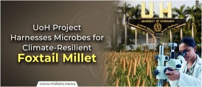 UoH Project Harnesses Microbes for Climate-Resilient Foxtail Millet