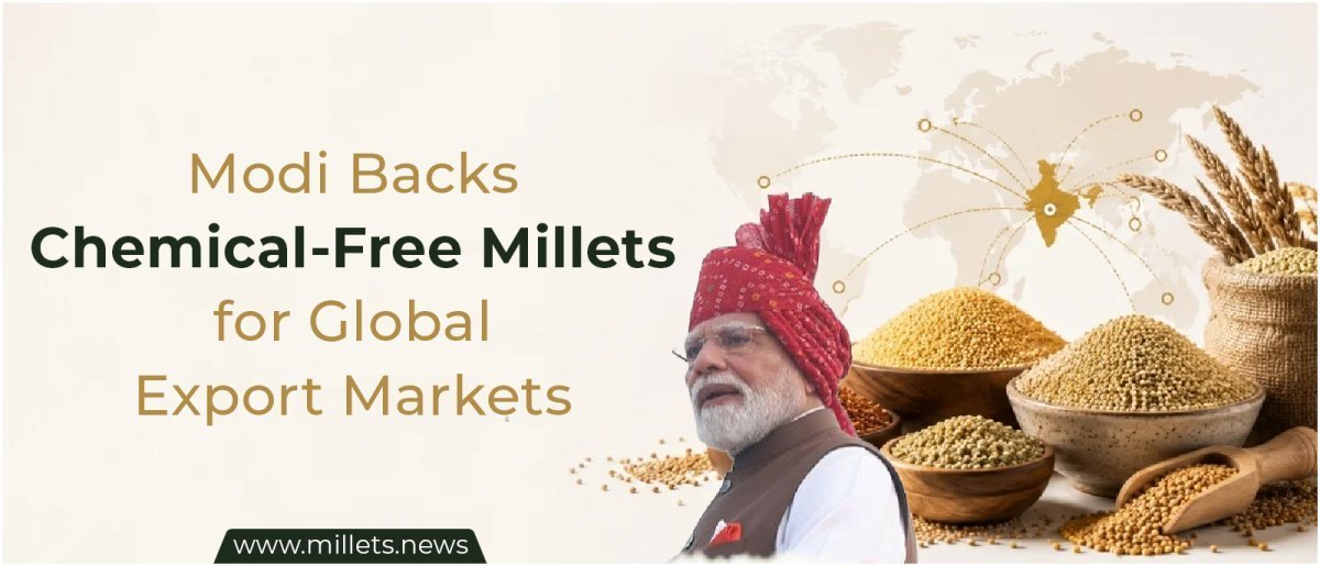 Modi Backs Chemical-Free Millets for Global Export Markets