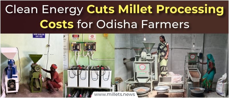 Clean Energy Cuts Millet Processing Costs for Odisha Farmers