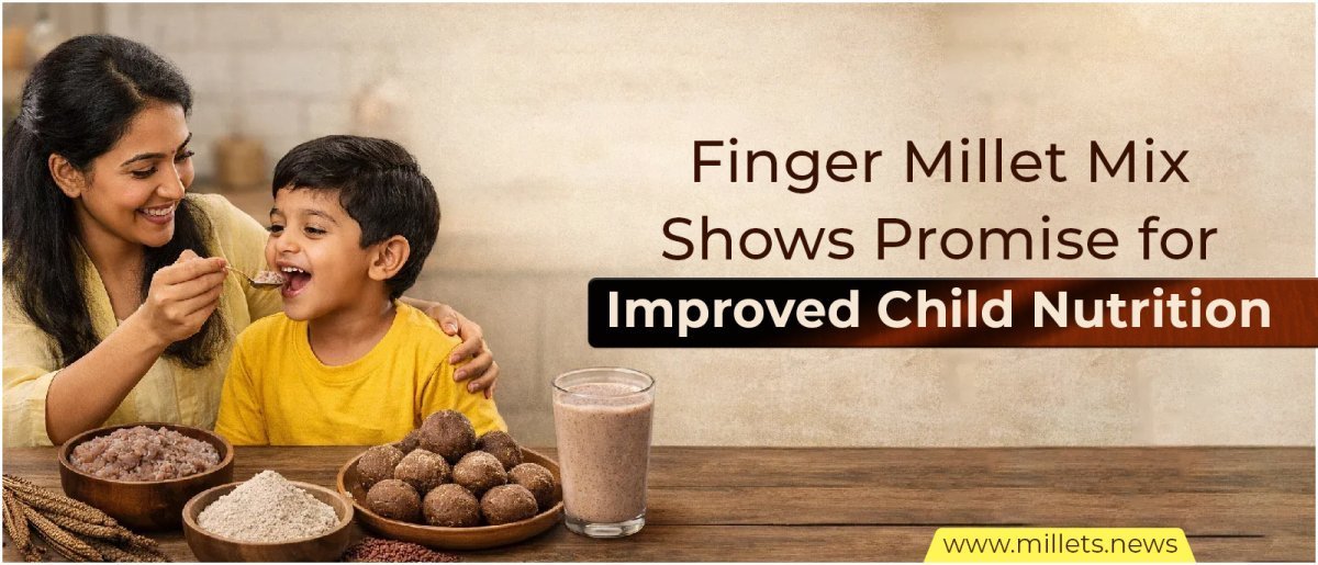 Finger Millet Mix Shows Promise for Improved Child Nutrition