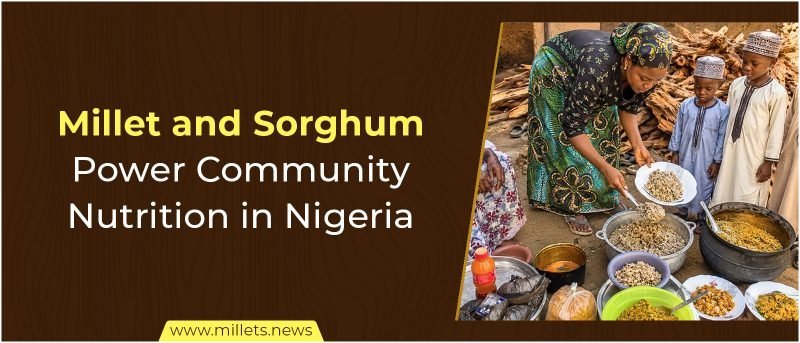 Millet and Sorghum Power Community Nutrition in Nigeria