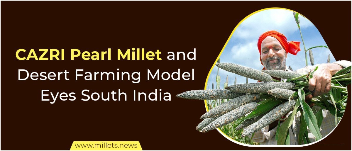 CAZRI’s Pearl Millet and Desert Farming Model Eyes South India