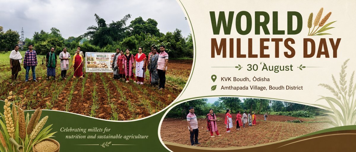 World Millets Day Observed at Amthapada Village in Boudh, Odisha
