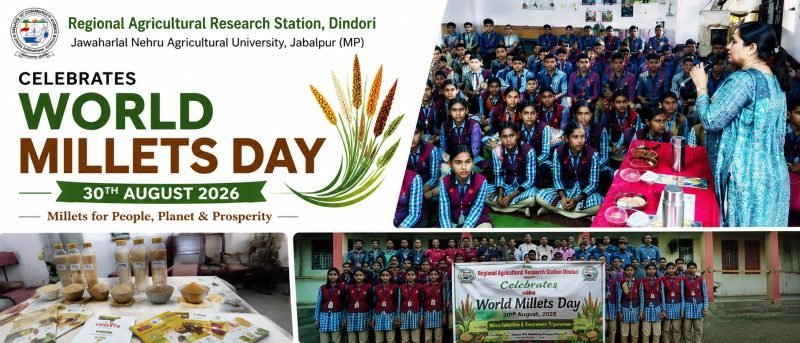 World Millets Day Awareness Programme Held at Sandipani Vidyalaya, Dindori