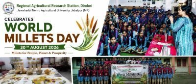 World Millets Day Awareness Programme Held at Sandipani Vidyalaya, Dindori