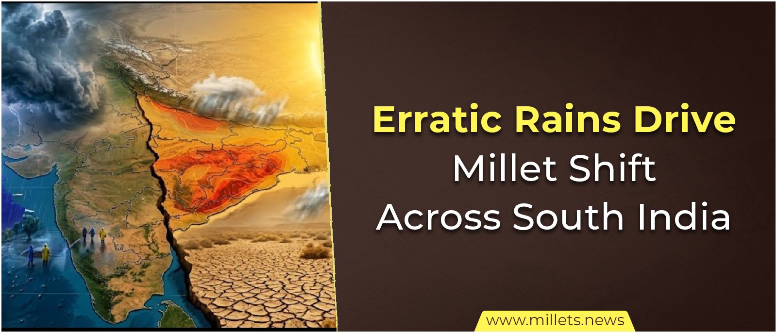 Erratic Rains Drive Millet Shift Across South India