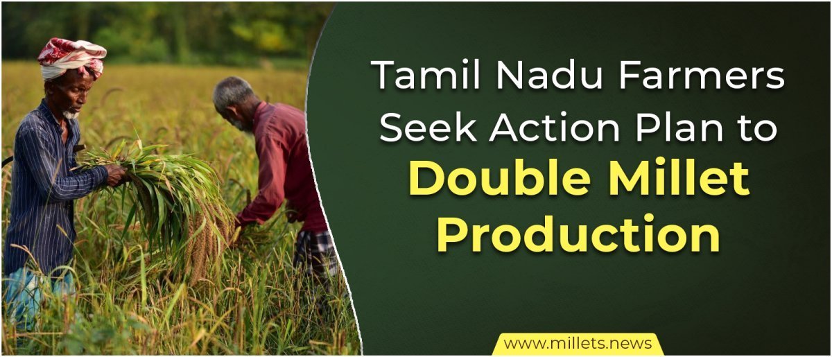 Tamil Nadu Farmers Seek Action Plan to Double Millet Production