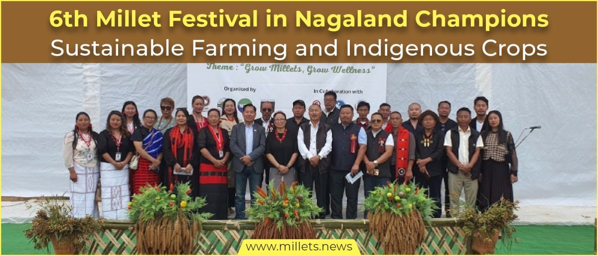 6th Millet Festival in Nagaland Champions Sustainable Farming and Indigenous Crops