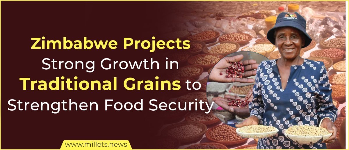 Zimbabwe Projects Strong Growth in Traditional Grains to Strengthen Food Security