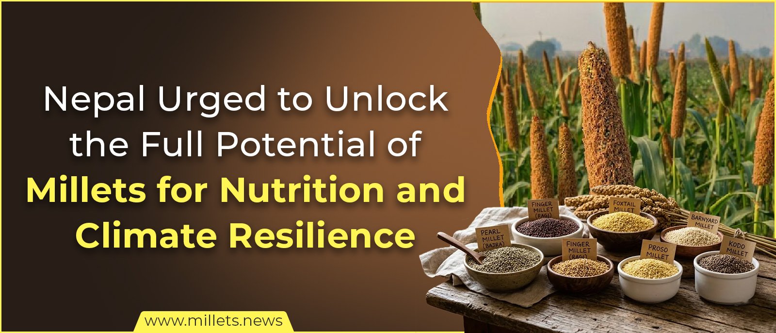 Nepal Urged to Unlock the Full Potential of Millets for Nutrition and Climate Resilience