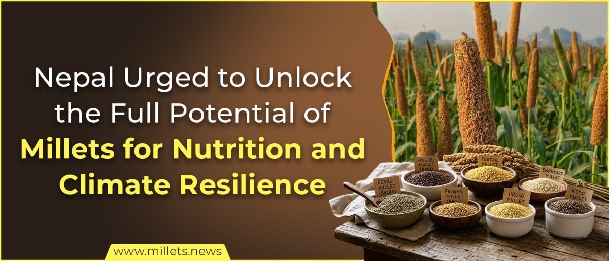 Nepal Urged to Unlock the Full Potential of Millets for Nutrition and Climate Resilience