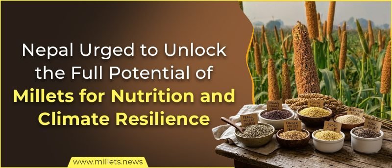 Nepal Urged to Unlock the Full Potential of Millets for Nutrition and Climate Resilience