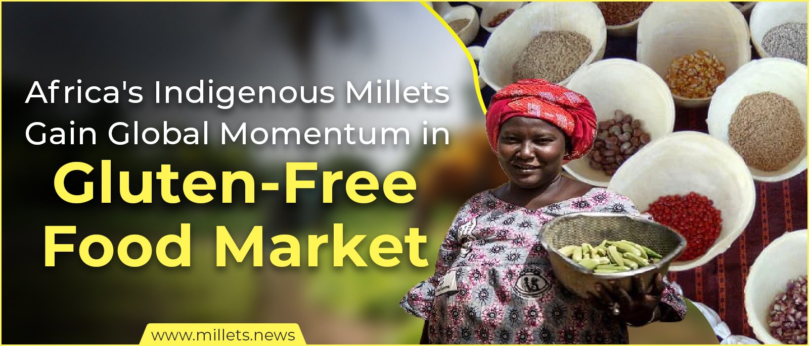 Africa's Indigenous Millets Gain Global Momentum in Gluten-Free Food Market
