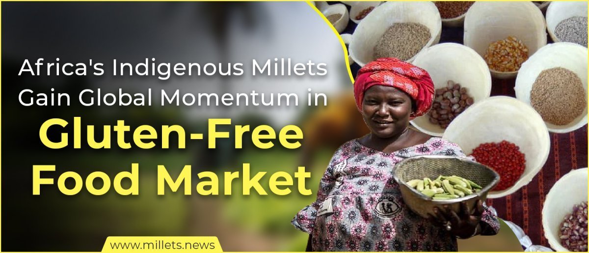 Africa's Indigenous Millets Gain Global Momentum in Gluten-Free Food Market