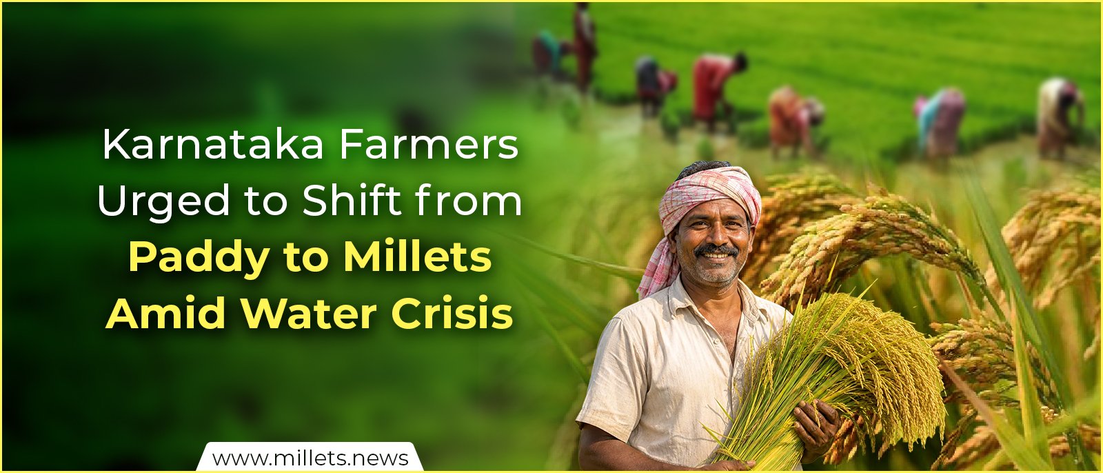 Karnataka Farmers Urged to Shift from Paddy to Millets Amid Water Crisis