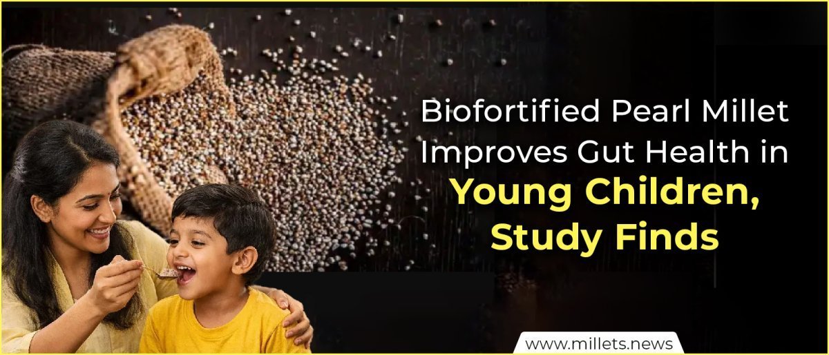 Biofortified Pearl Millet Improves Gut Health in Young Children, Study Finds
