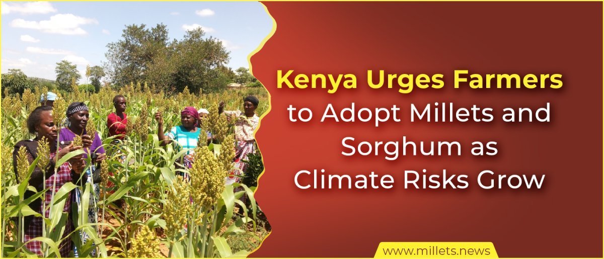 Kenya Urges Farmers to Adopt Millets and Sorghum as Climate Risks Grow