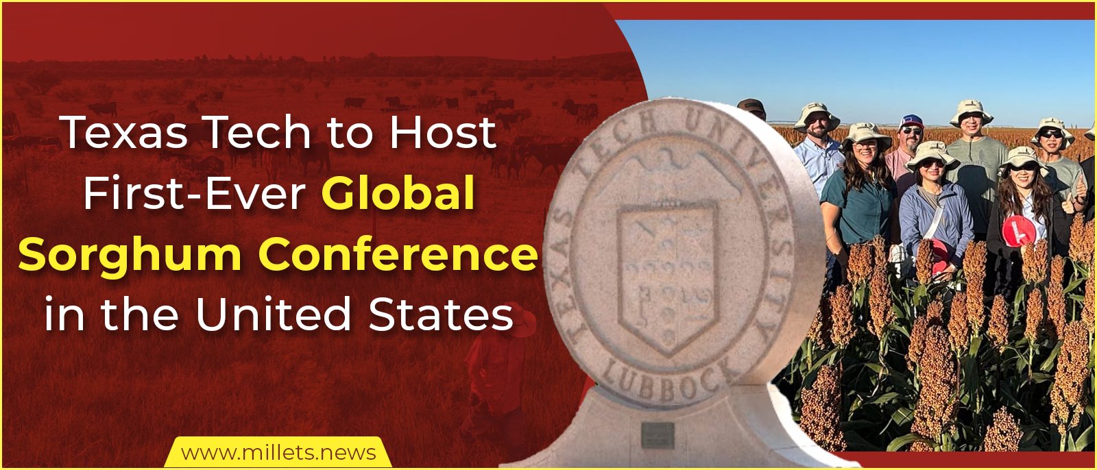 Texas Tech to Host First-Ever Global Sorghum Conference in the United States