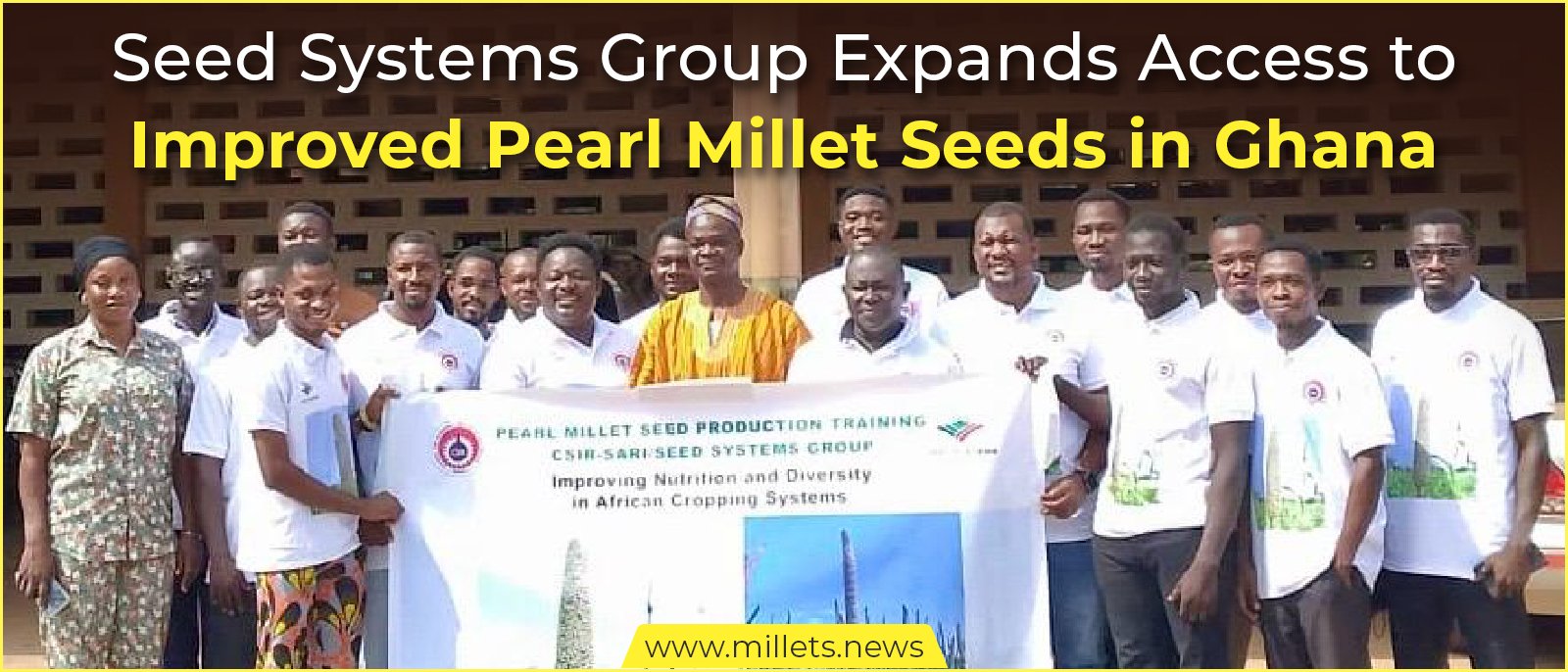 Seed Systems Group Expands Access to Improved Pearl Millet Seeds in Ghana