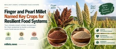 Finger and Pearl Millet Named Key Crops for Resilient Food Systems