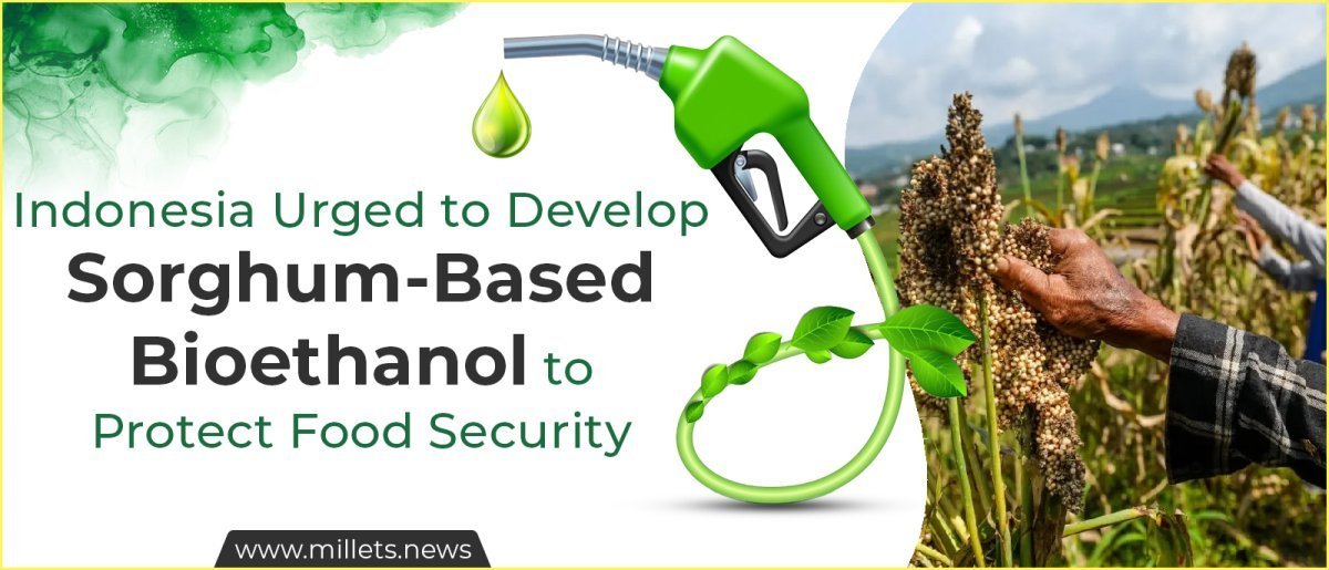 Indonesia Urged to Develop Sorghum-Based Bioethanol to Protect Food Security