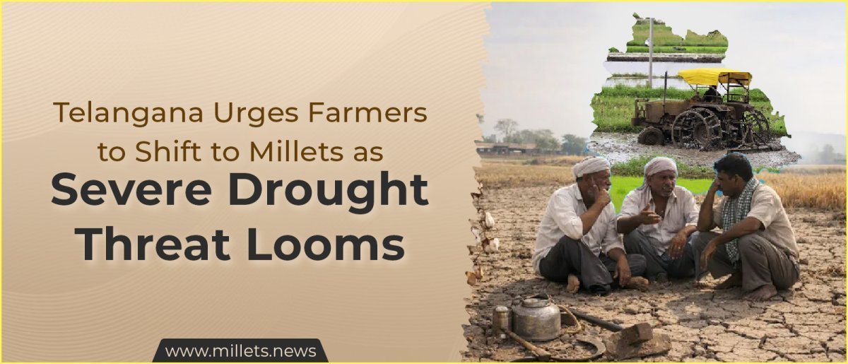 Telangana Urges Farmers to Shift to Millets as Severe Drought Threat Looms