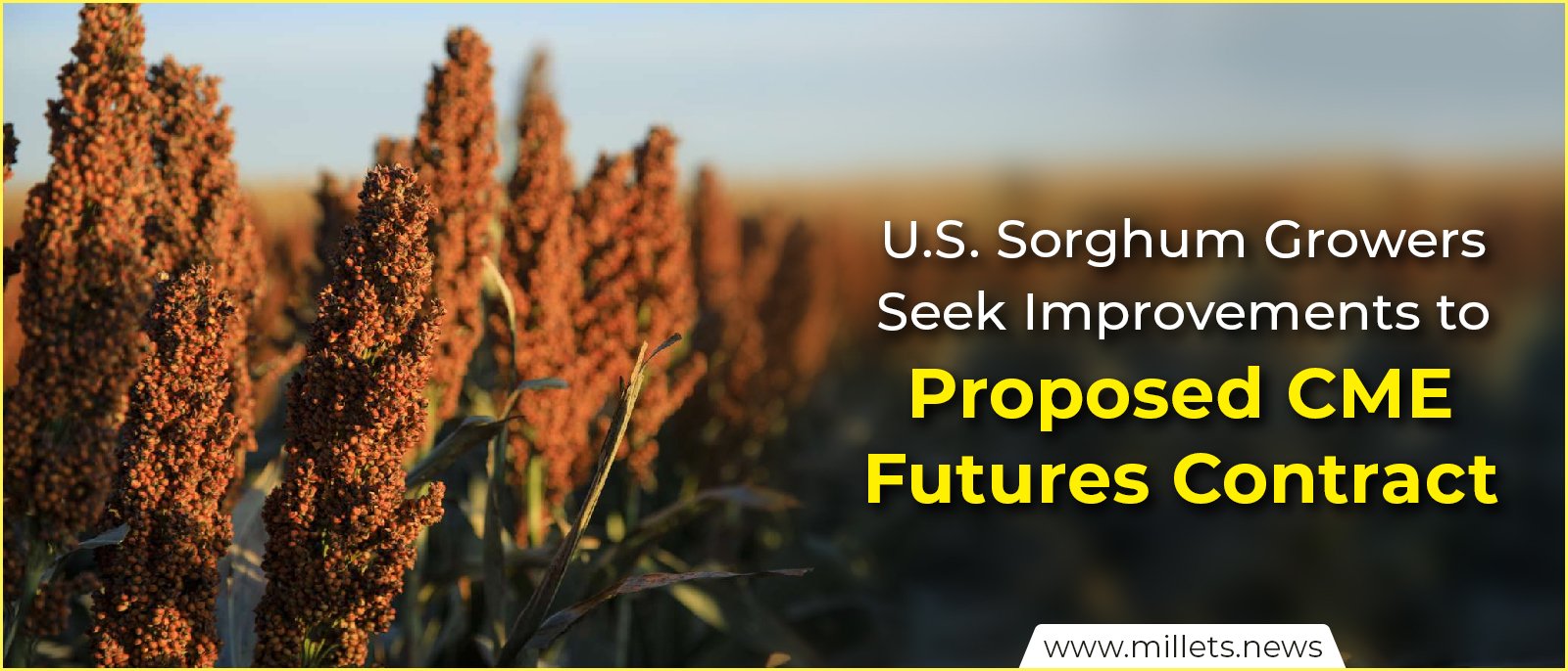 U.S. Sorghum Growers Seek Improvements to Proposed CME Futures Contract