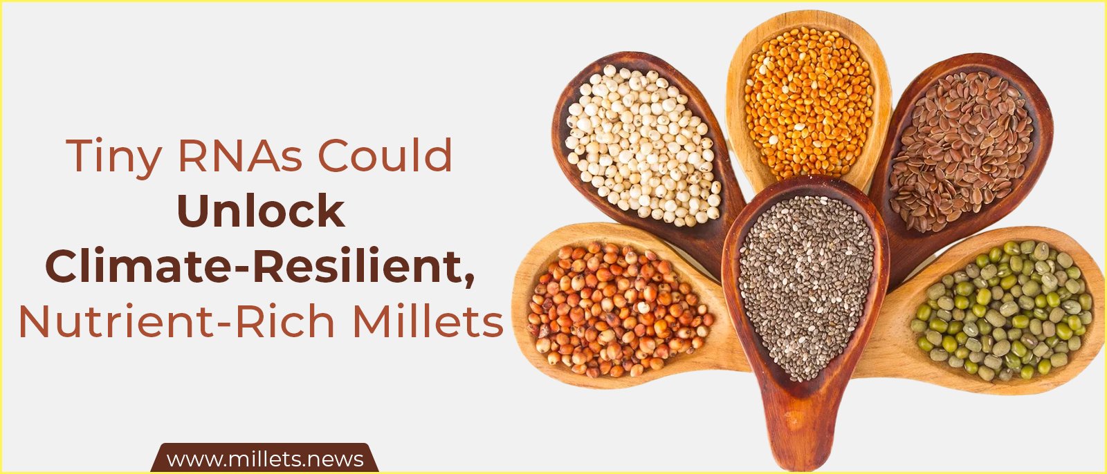 Tiny RNAs Could Unlock Climate-Resilient, Nutrient-Rich Millets
