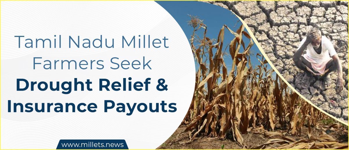 Tamil Nadu Millet Farmers Seek Drought Relief and Insurance Payouts