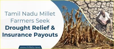 Tamil Nadu Millet Farmers Seek Drought Relief and Insurance Payouts