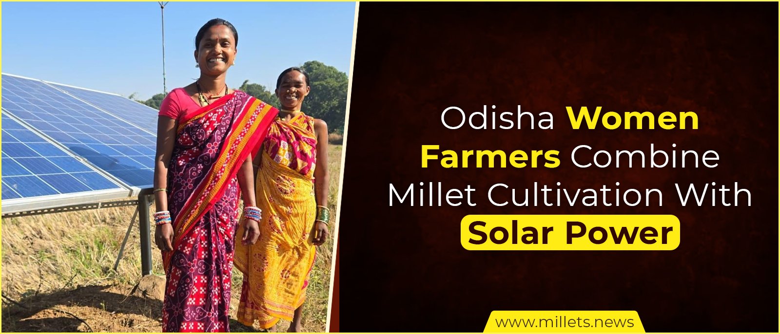 Odisha Women Farmers Combine Millet Cultivation With Solar Power
